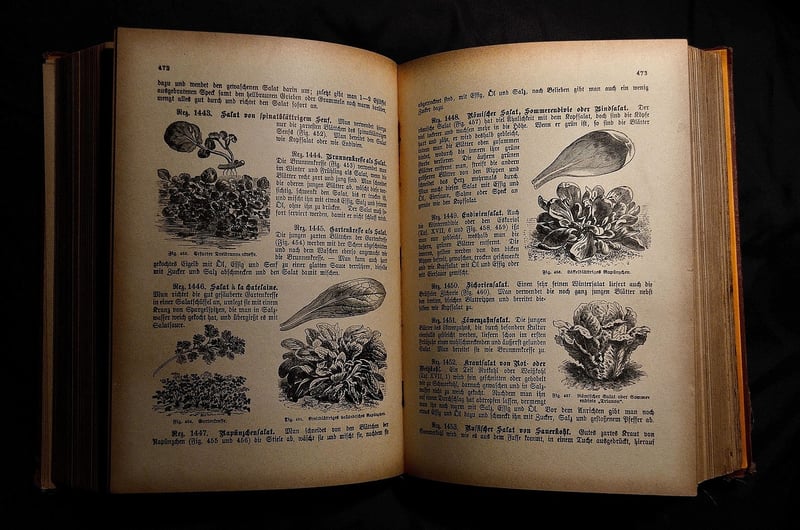 Historical Cookbooks